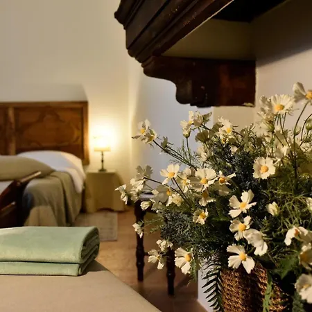 Bed & Breakfast Dimora Storica La Corte Delle 4 Stagioni Ozzano Monferrato