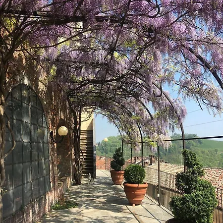 Bed & Breakfast La Corte Delle 4 Stagioni Ozzano Monferrato
